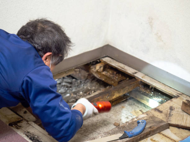 Best Water Damage Restoration  in Florence, TX