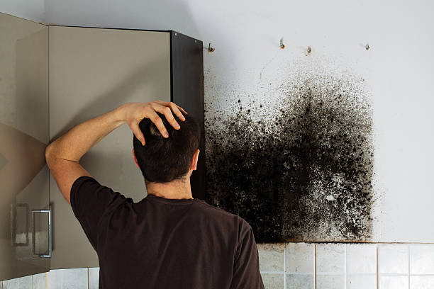 Best Local Mold Removal Service  in Florence, TX